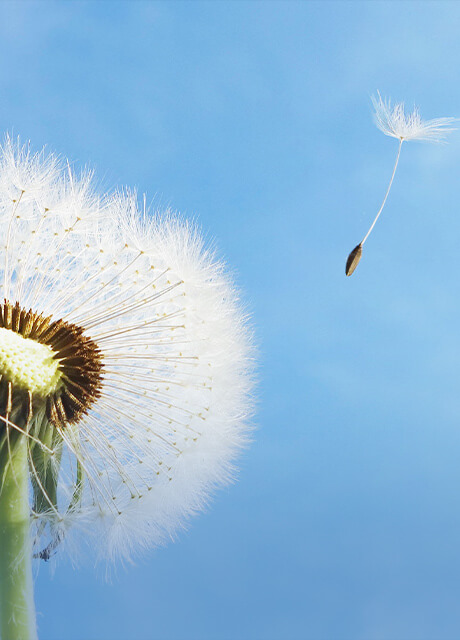 我們的產(chǎn)品品質(zhì) 我們的產(chǎn)品品質(zhì)