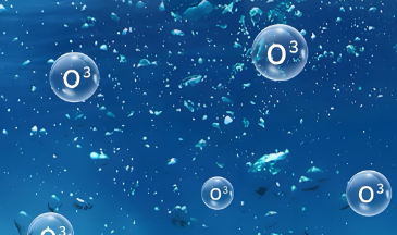 臭氧氧化